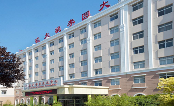 河南农业大学酒店物业改造项目策划1_副本.png
